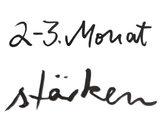 In schwarzer Schreibschrift auf weißem Hintergrund steht: 2-3. Monat stärken.