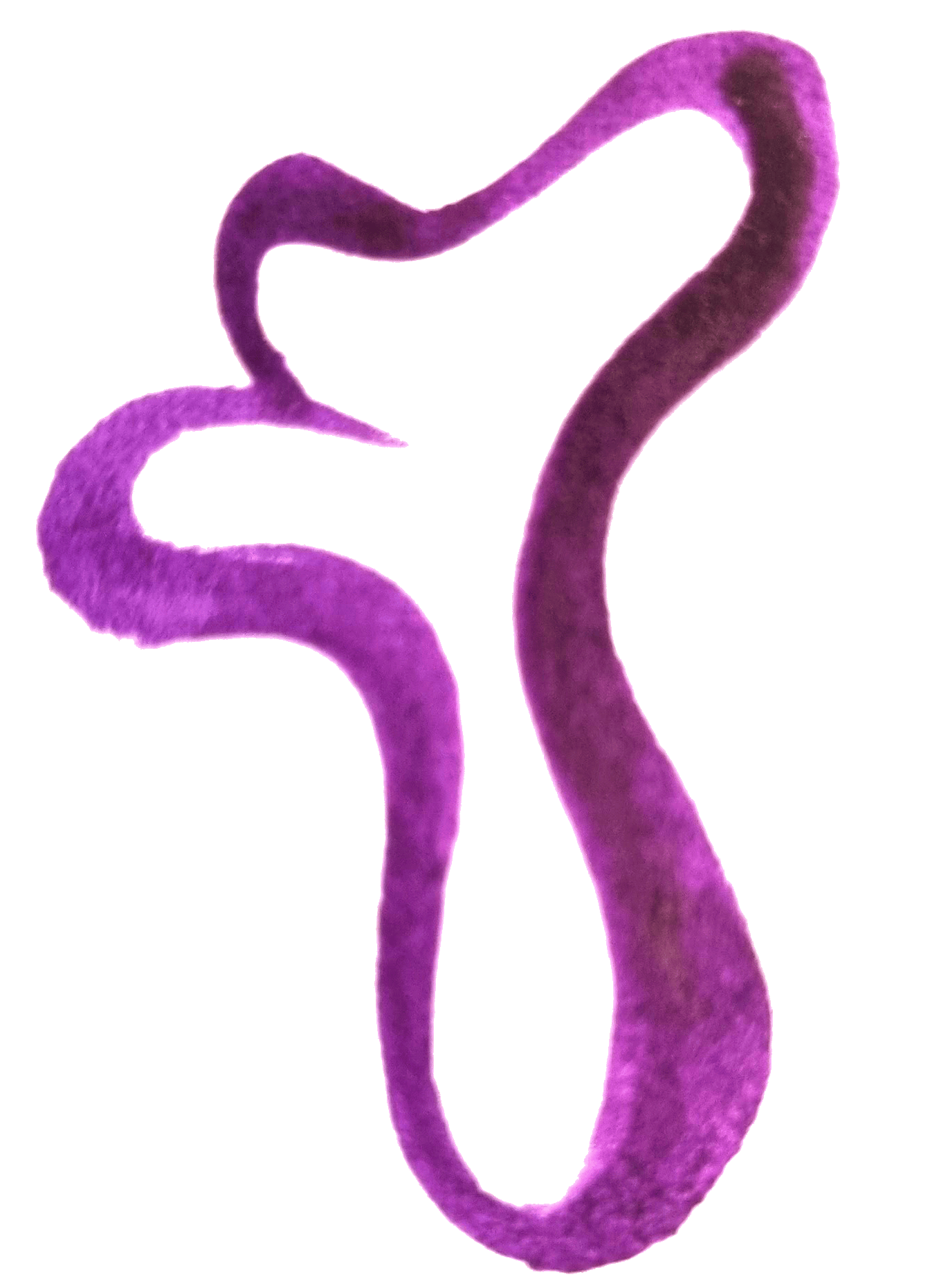 Eine abstrakte Illustration in Lila