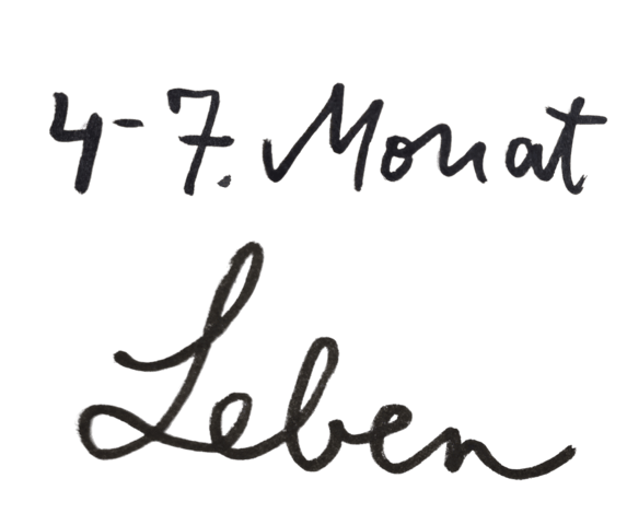 In schwarzer Schreibschrift auf weißem Hintergrund steht: 4-7. Monat Leben.