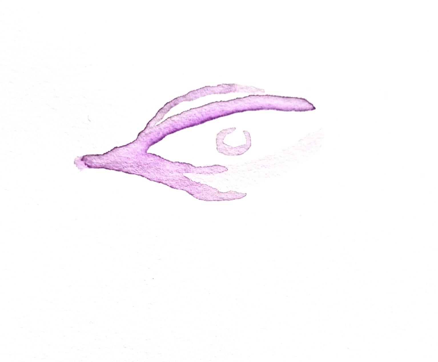 Bewusstseinsentwicklung